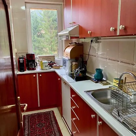 Apartament Durau *