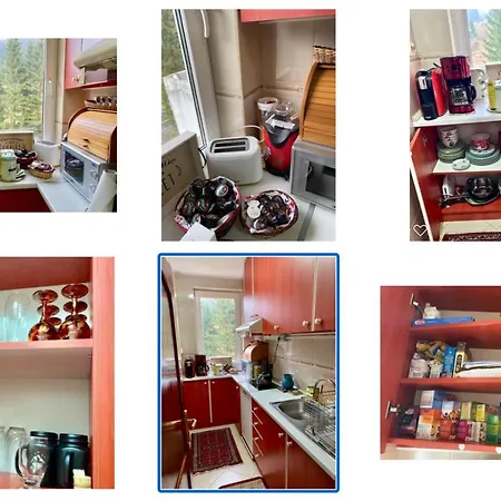 Apartament Durau *