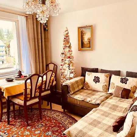 Apartament Durau Apartment *